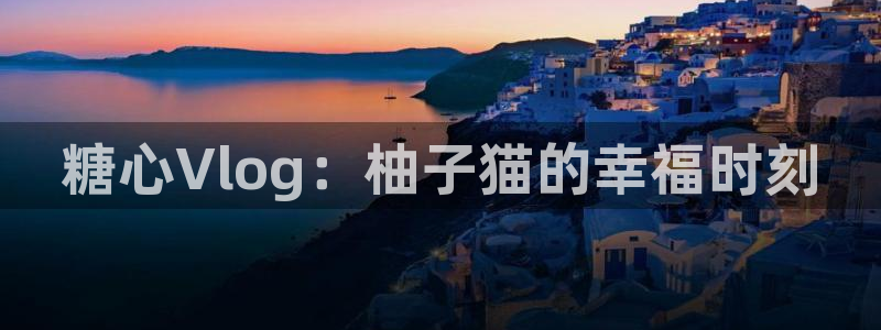 糖心vlog 糖心传媒：糖心Vlog：柚子猫的幸福时刻