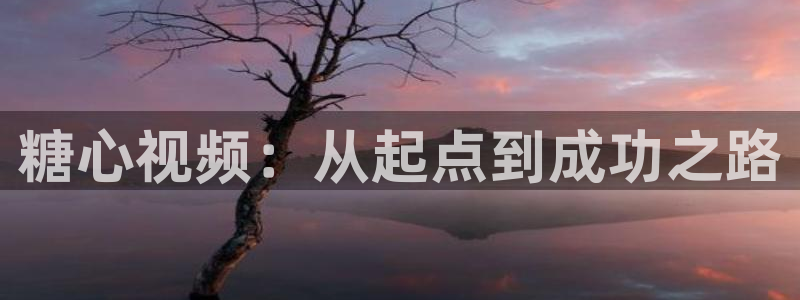 糖心vlog账号绑定：糖心视频：从起点到