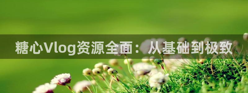 糖心vlog日本达人：糖心Vlog资源全面：从基础到极致