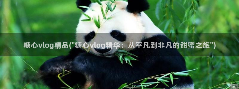 糖心vlog网络繁忙：糖心vlog精品(