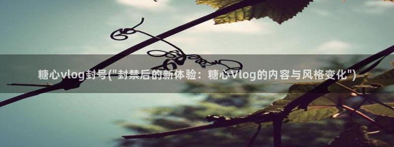 糖心vlog资源在线：糖心vlog封号(\