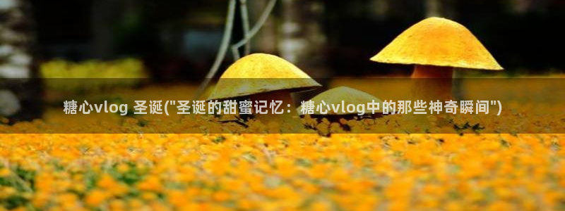 美议糖心vlog：糖心vlog 圣诞(\