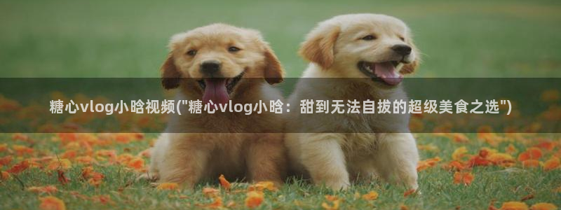 糖心vlog江疏影：糖心vlog小晗视频(\