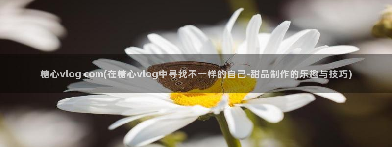 vlog糖心官网地址