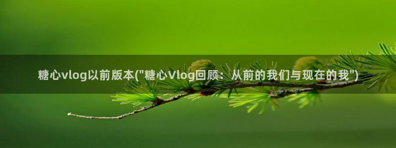 糖心vlog合集资源：糖心vlog以前版