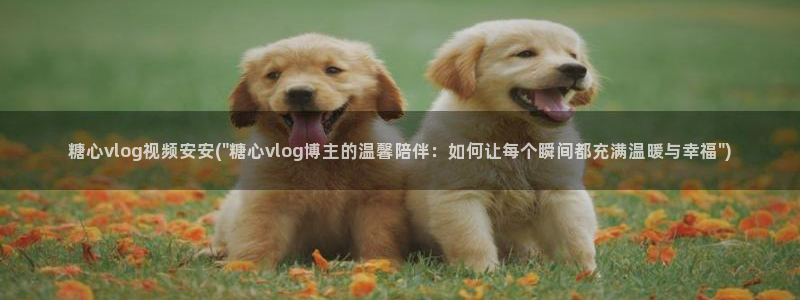 糖心vlog女神：糖心vlog视频安安(\