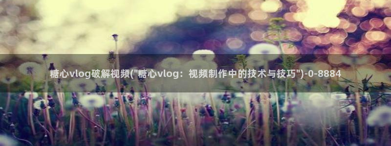 糖心vlog 包子：糖心vlog破解视频(\