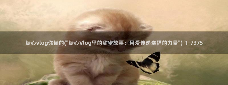 在线观看糖心vlog：糖心vlog你懂的