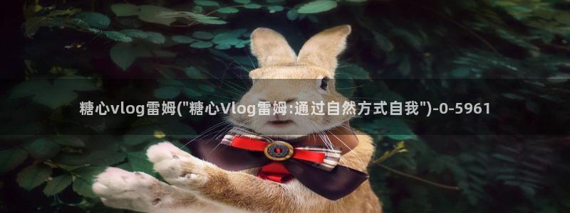 51动漫糖心vlog：糖心vlog雷姆(