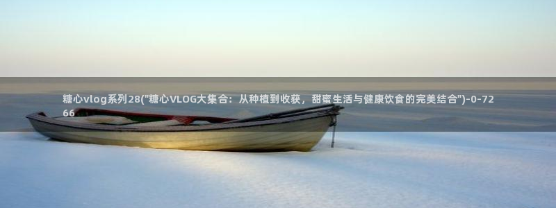 在线观看糖心vlog:糖心vlog系列28(\