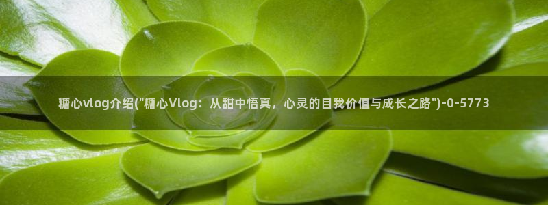 天美糖心vlog：糖心vlog介绍(\