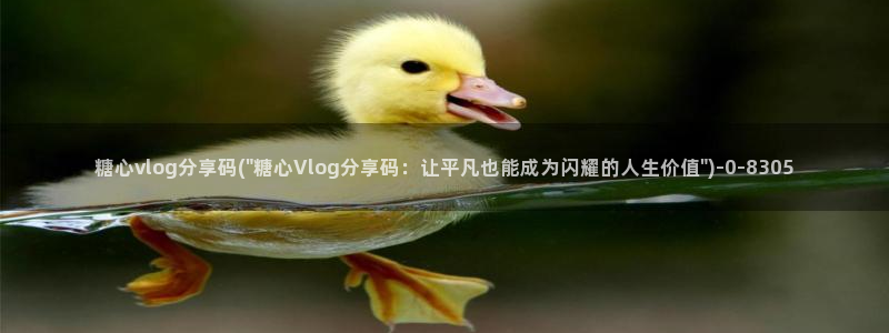 成人糖心vlog污