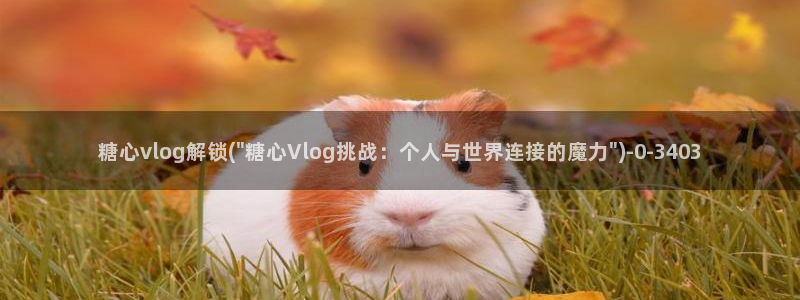 糖心vlog污黄