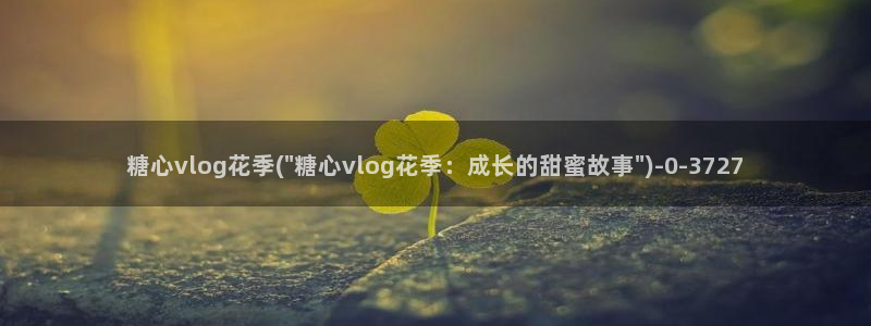 糖心官方vlog特色