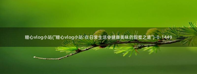 糖心vlog茄子视频