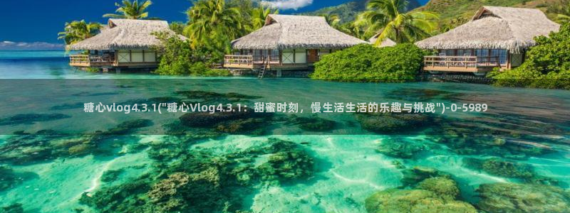 糖心vlog人口