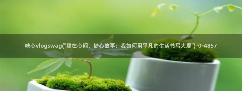 糖心vlog在线观看_糖心vlog小桃