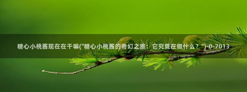 糖心vlog免费软件