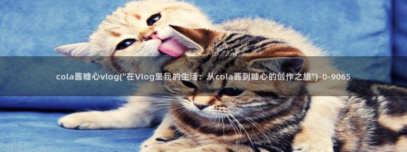 糖心vlog在线观看最新