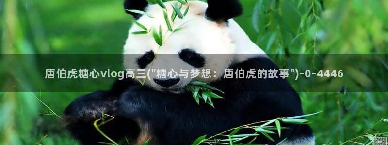 糖心vlog在线视频
