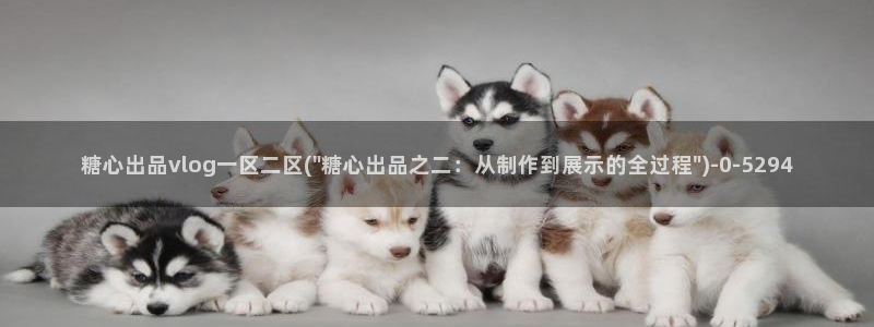 糖心vlog米娜学姐