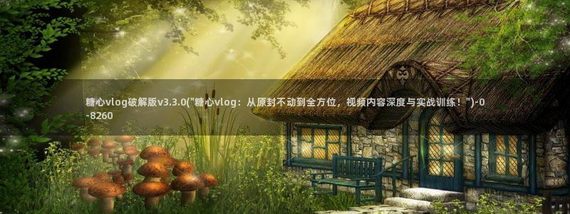 怎么看糖心vlog
