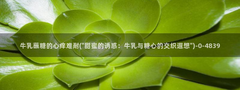 心糖vlog在线观看