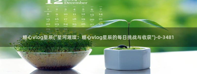 糖心vlog官网版下载