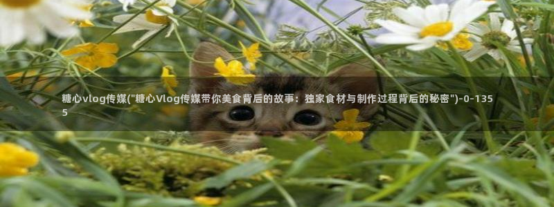 糖心vlo go