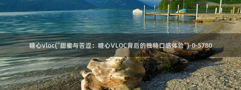 糖心vlog网站观看