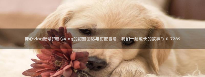 糖心vlog国产