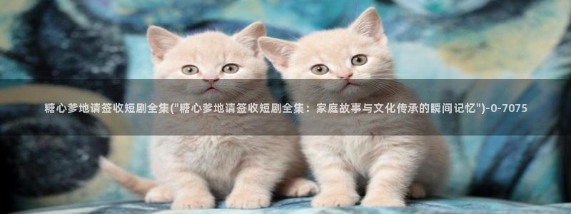 桥本香菜糖心vlog销售的秘诀